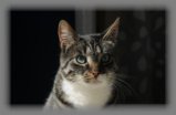thumbs/RJ0_2553.jpg